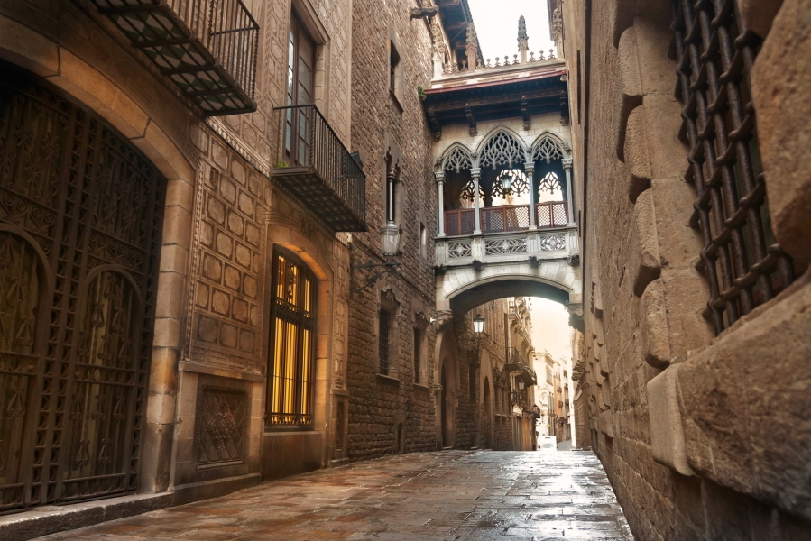 Start at la catedral and say hello to the 13 geese that have called the cloisters their home since . Barcelona Gothic Quarter Tour Private Tour Guide Barcelona
