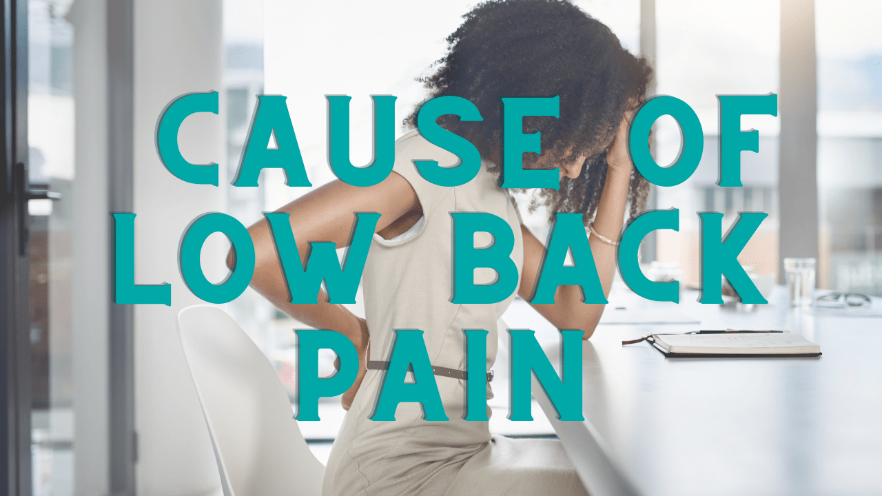 What is the Cause of Low Back Pain?