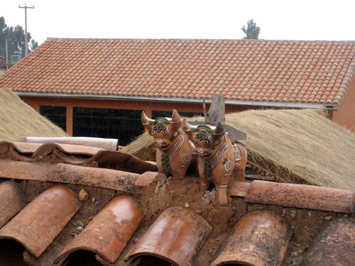 Живые параллели