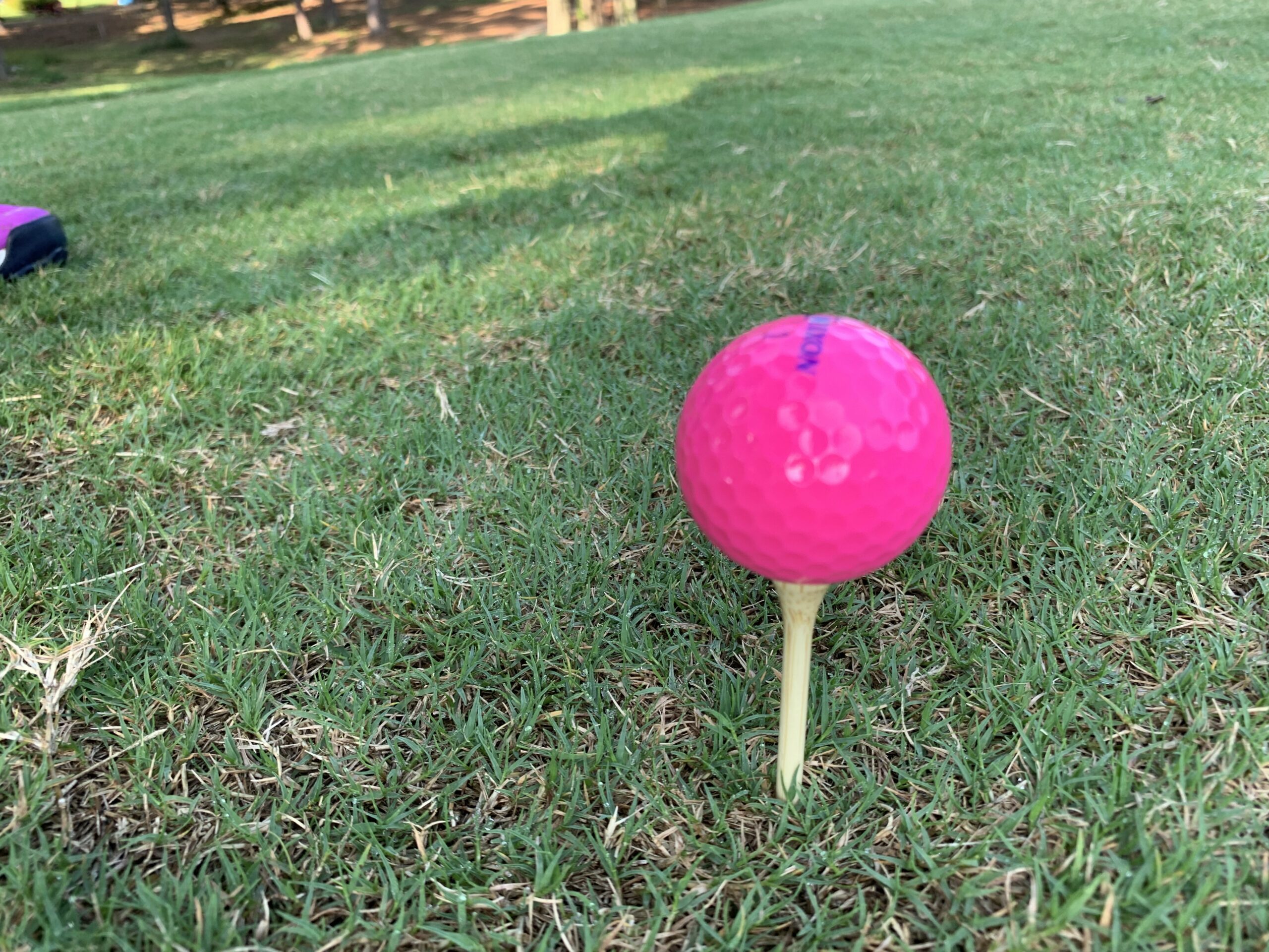 Life is Like a Round of Golf