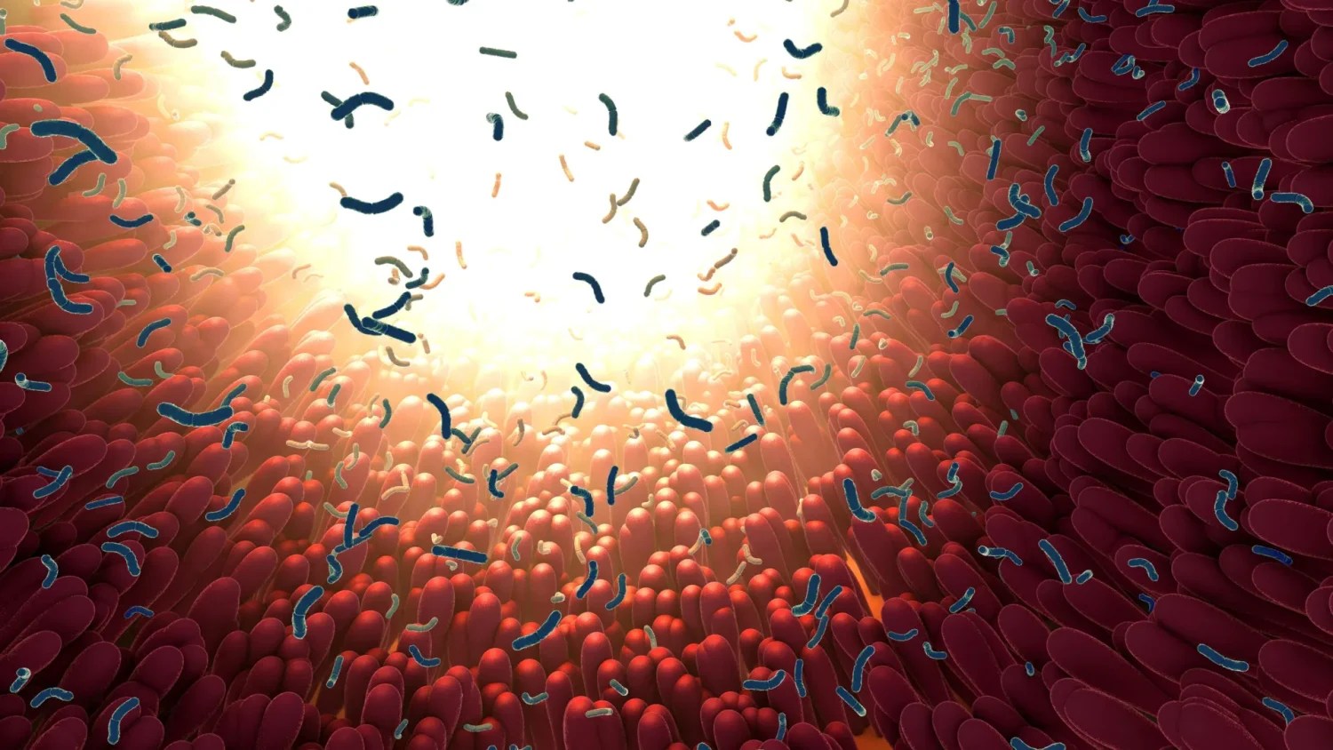 Sugar May Worsen Antibiotic Damage to Your Gut