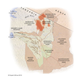 Wildebeest Migration