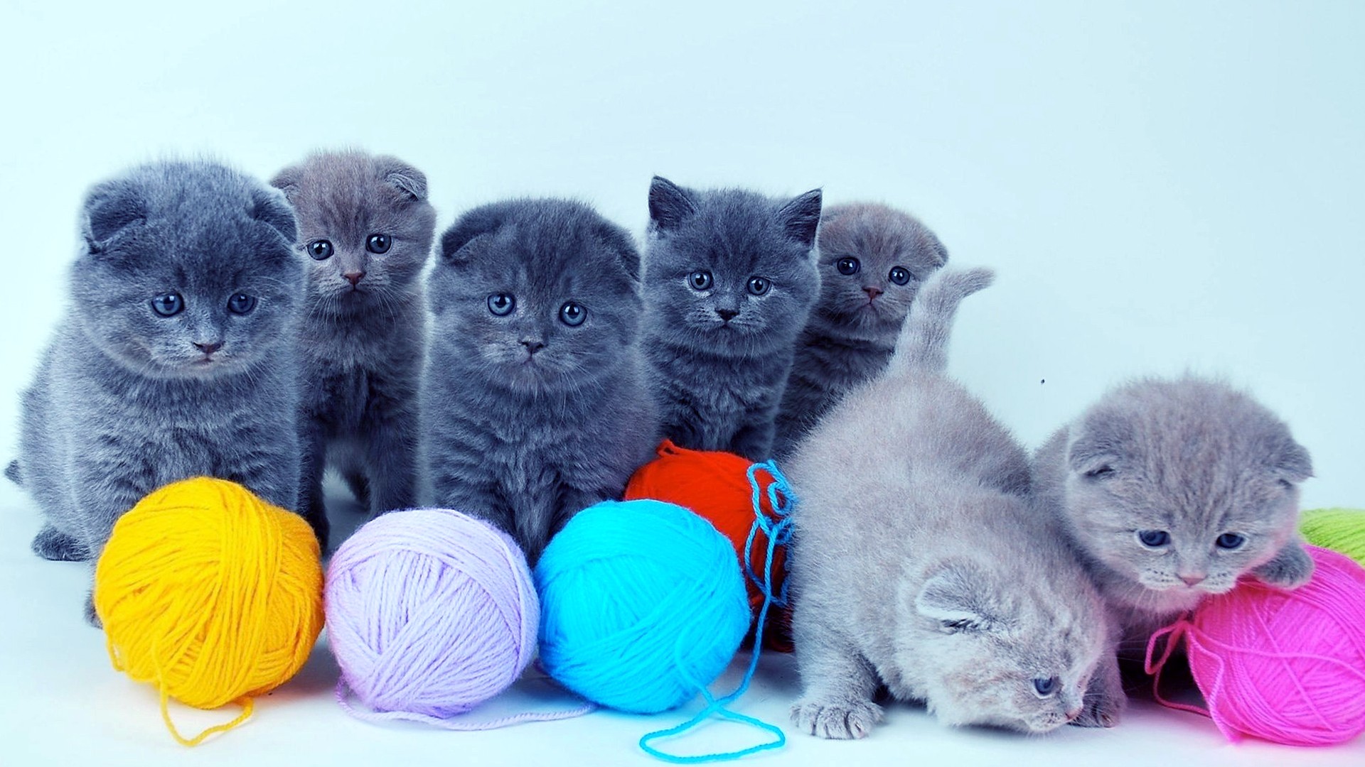 Technology is helpful until it fails. Cute Desktop Backgrounds 2021 Live Wallpaper Hd