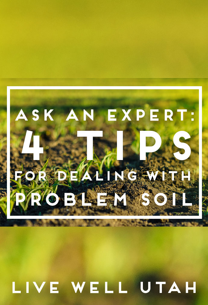 Ask an Expert // Four Tips for Dealing with Problem Soil Live Well Utah