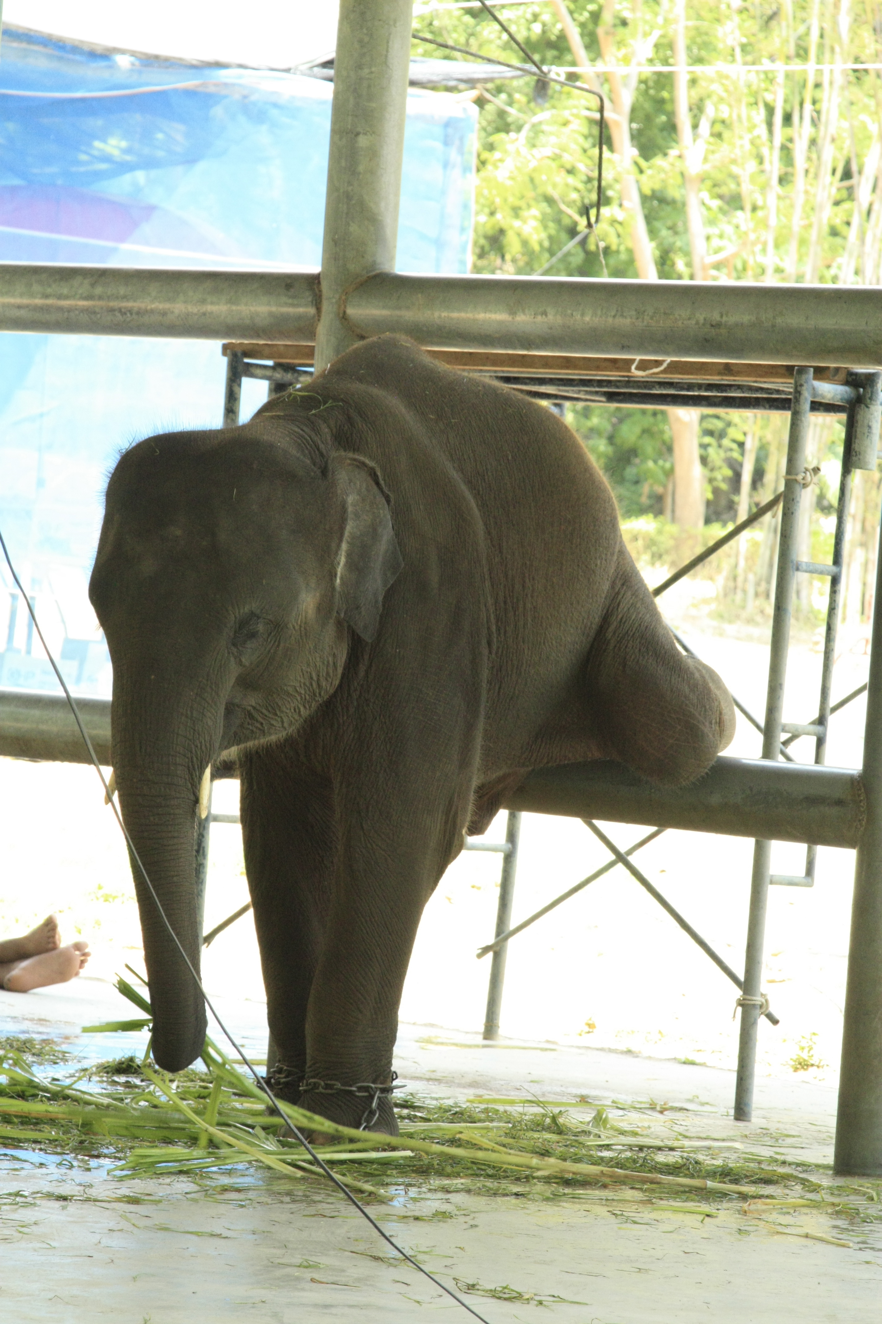 how to get to that itch