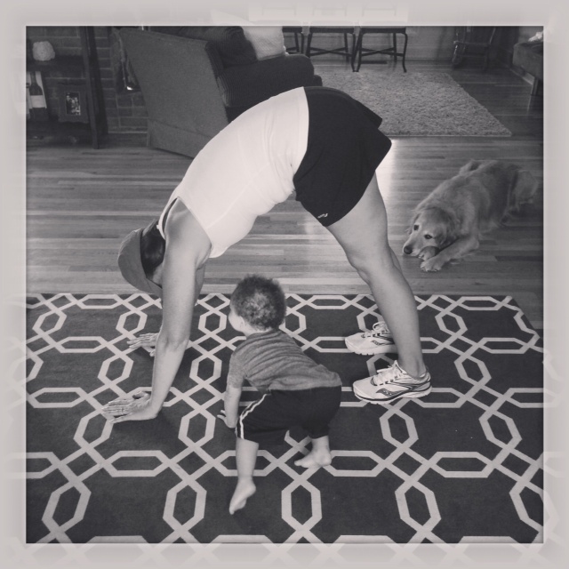 Downward dog - watching momma
