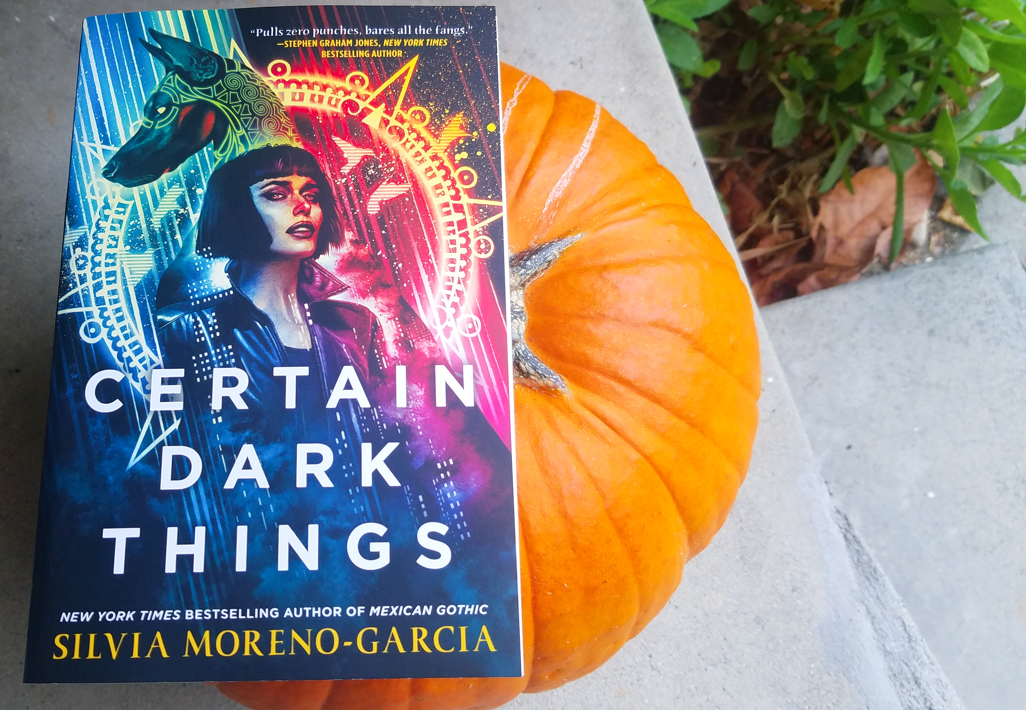 Certain Dark Things – Living in Libros