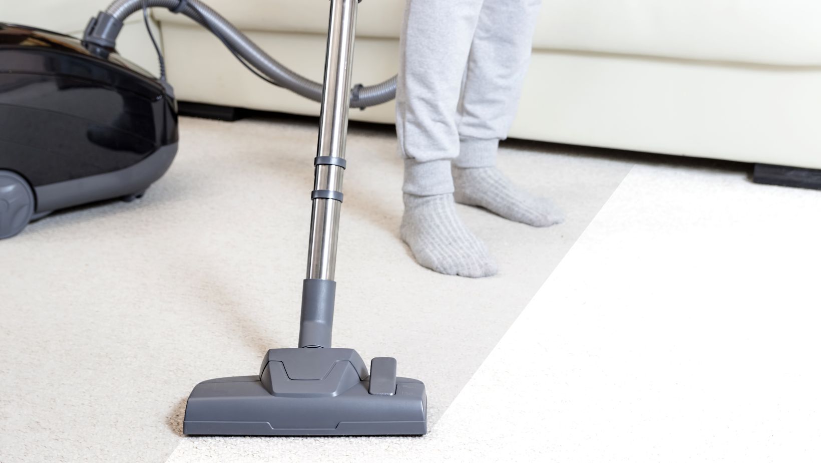 The ultimate cleaning companion best buy shark vacuum