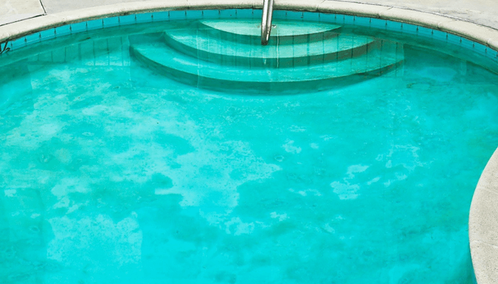 How To Remove Black Algae From Your Pool Inyopools 