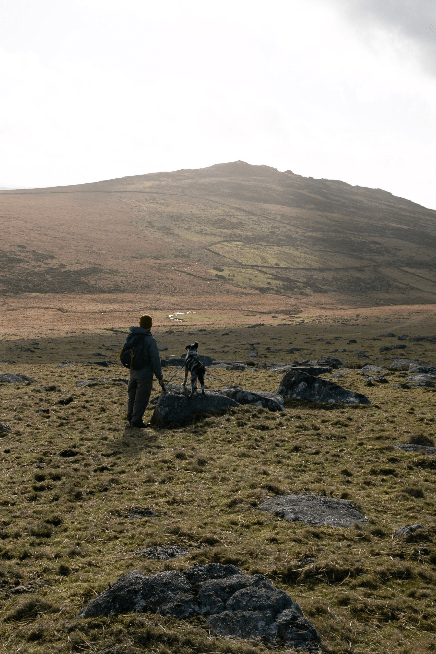 6 things to see and do around Bodmin Moor, Cornwall