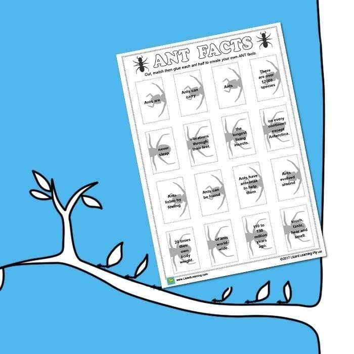 Matching Ant Facts - Worksheet