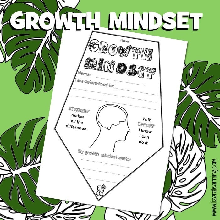 Growth Mindset - Pennant