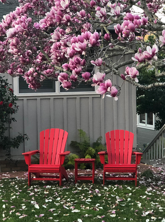 Chairs Red 2810