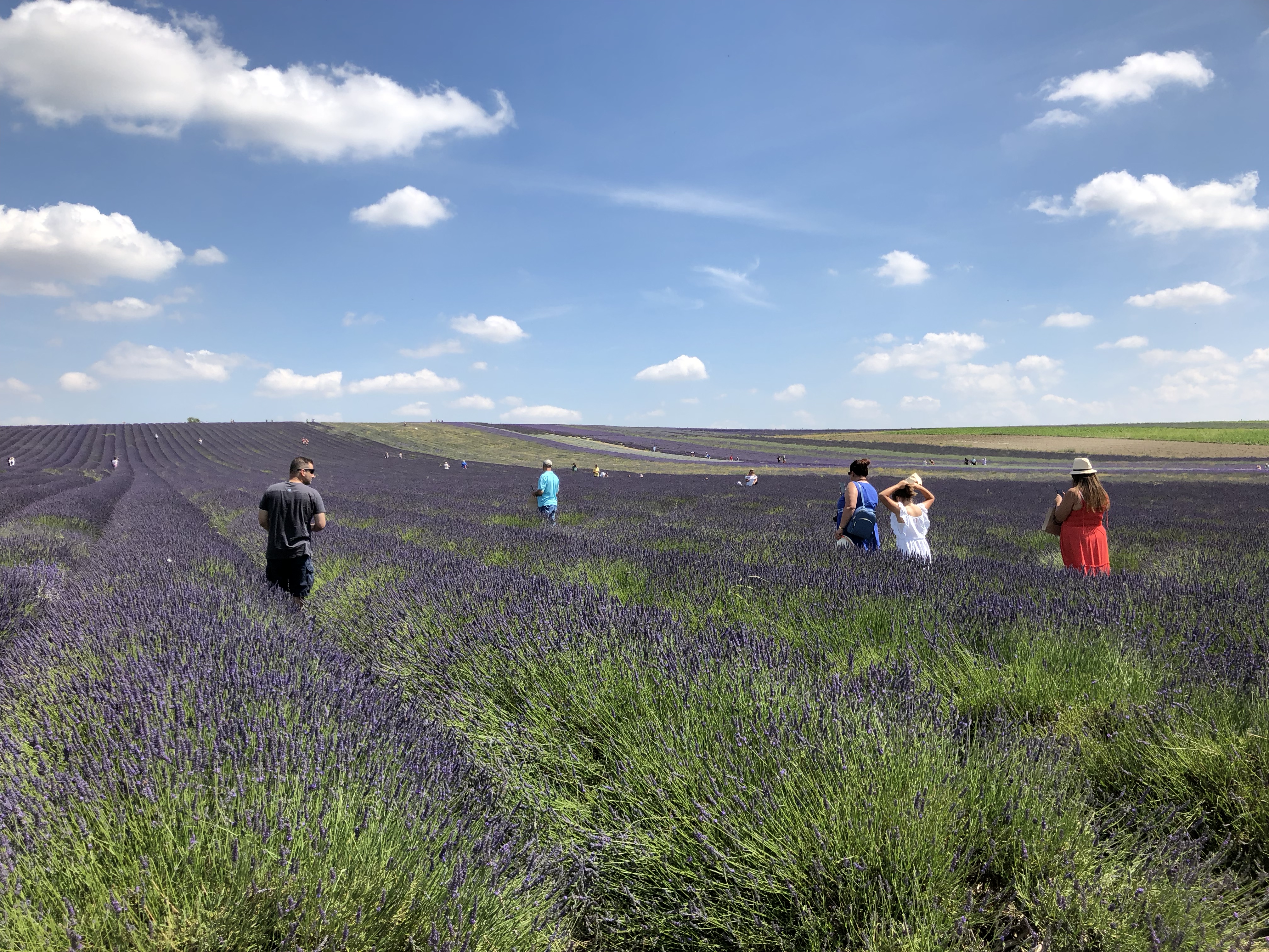 My hubby in the grey shirt