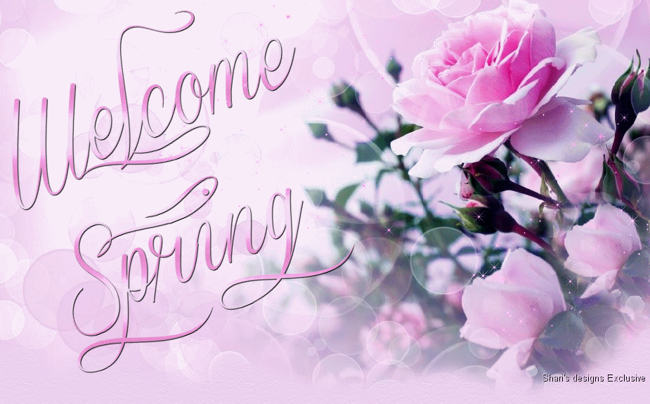 spring on goodbye winter welcome spring wallpapers