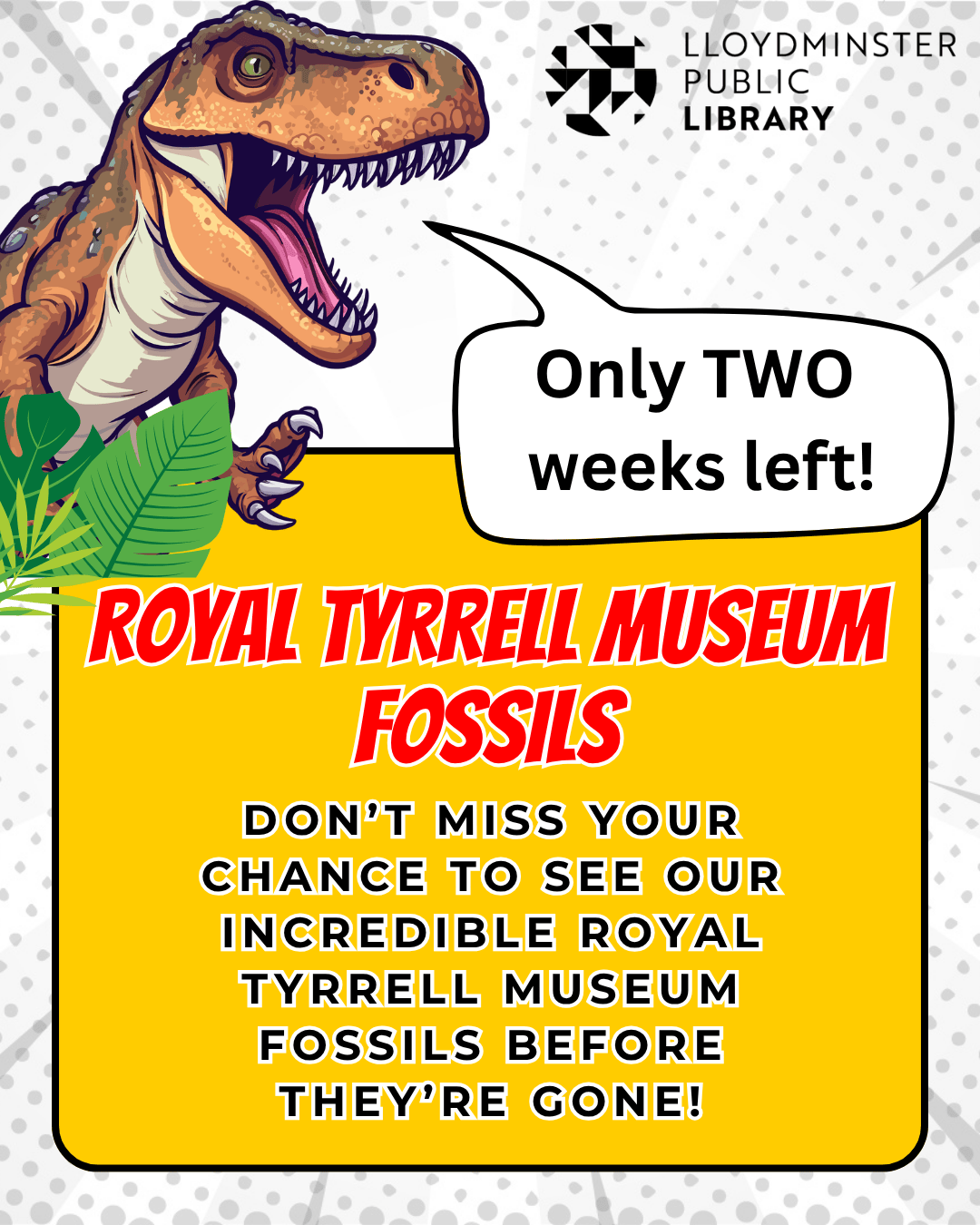 RTM Fossils Display