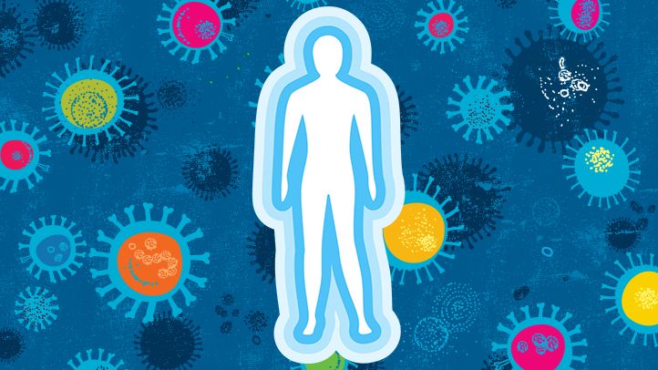 immune-system