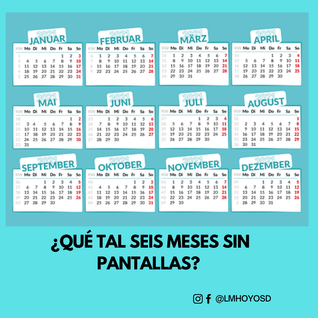 ¿QUÉ TAL SEIS MESES SIN PANTALLAS?