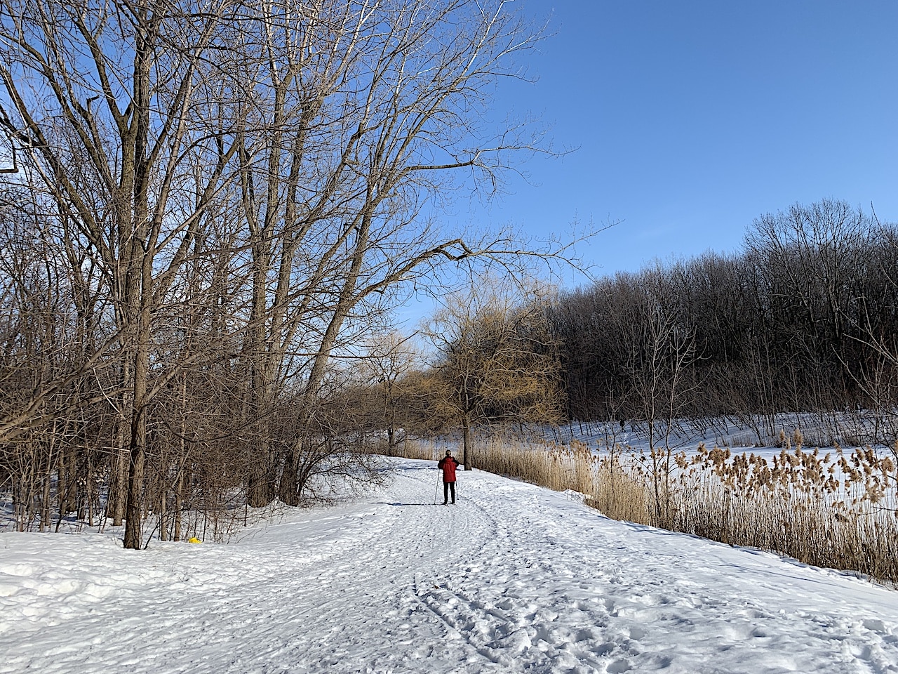 Montréal en janvier et les joies de l’hiver