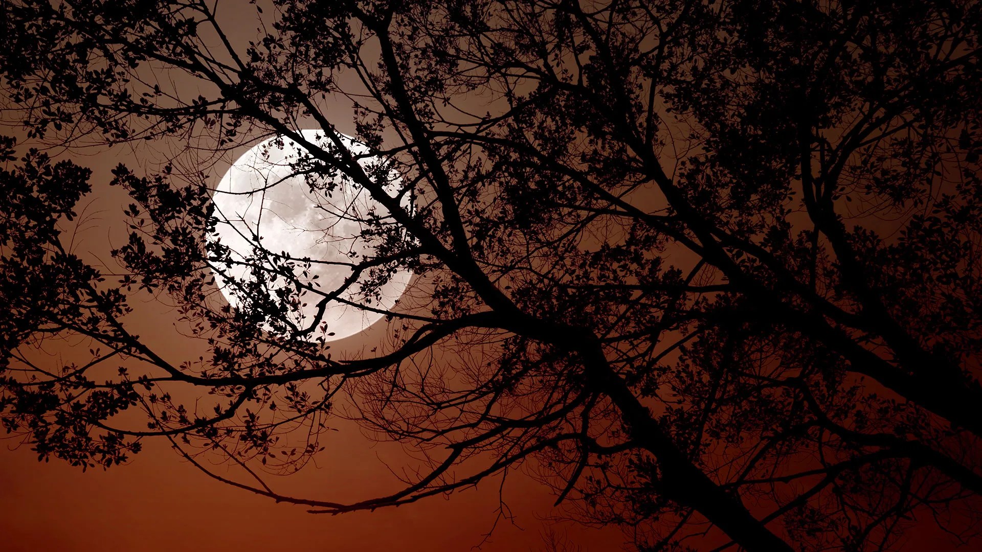 Nimet Predicts 3-Day Sunshine And Haziness Starting Wednesday