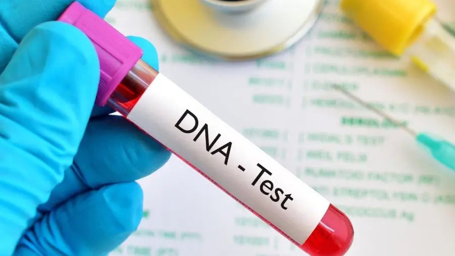 Dna Test Results In Nigeria Family Trust Issues