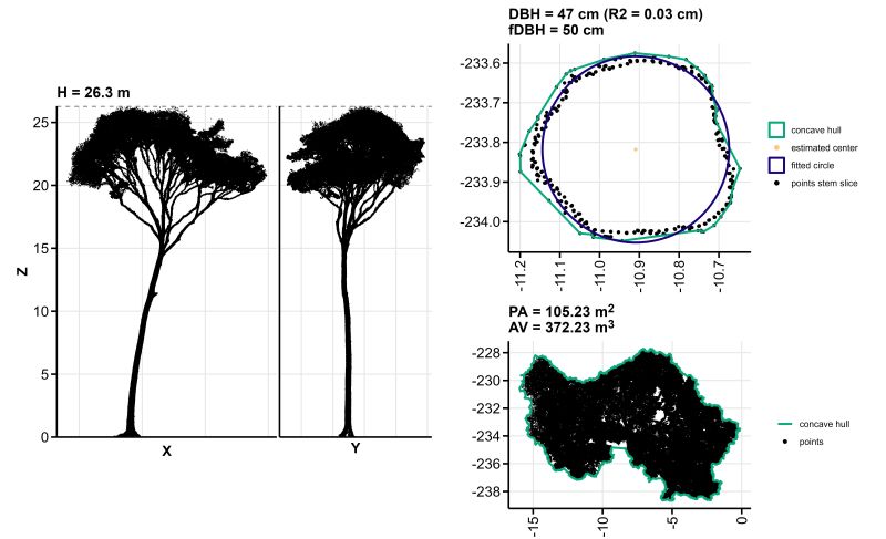 Individual Tree Structural Metrics Itsme - Best Sunset Pictures in HD