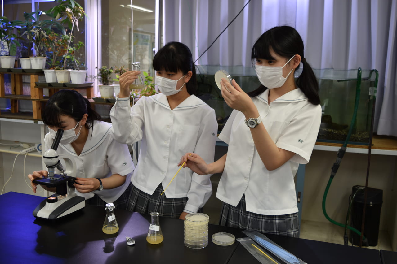 サイエンスキャッスル研究費アサヒ飲料賞2020採択チーム 愛媛大学附属高等学校 理科部プラガールズの研究論文が日本農芸化学会誌に掲載されました リバネス
