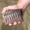 Why Every Operator (or Weekend Warrior) Should Carry a Scrubba Tactical Wash Bag
