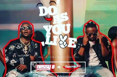 Nessy Bee Ft. Demmie Vee – Do As U Like