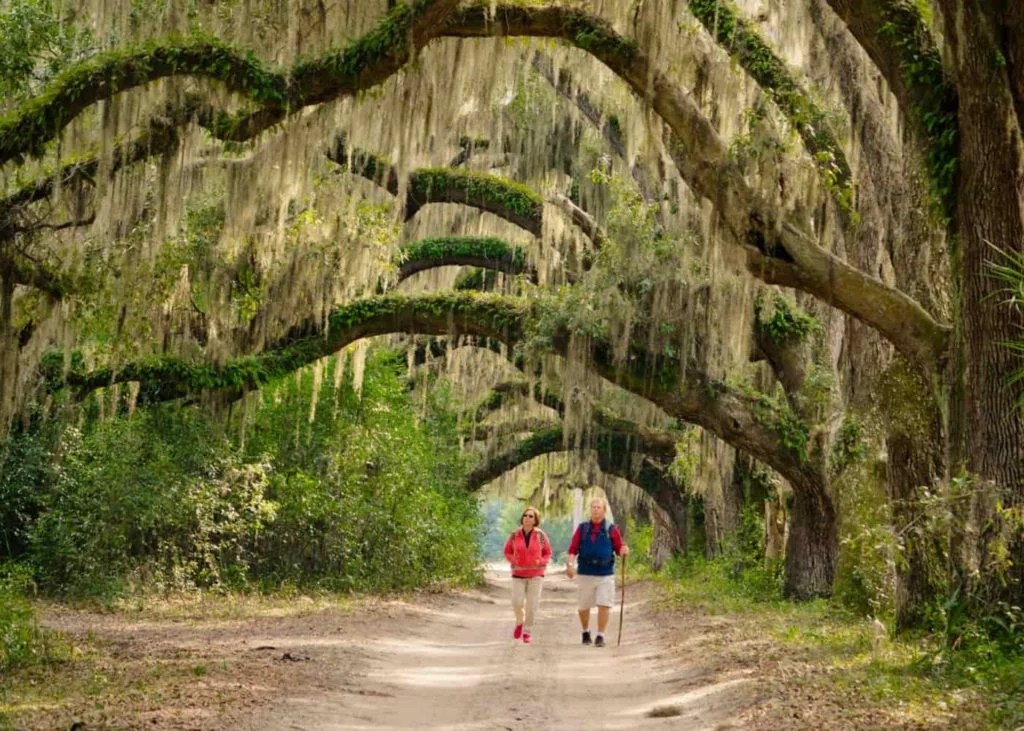 Kingsland, GA: Your Gateway to Coastal Charm and Outdoor Adventure