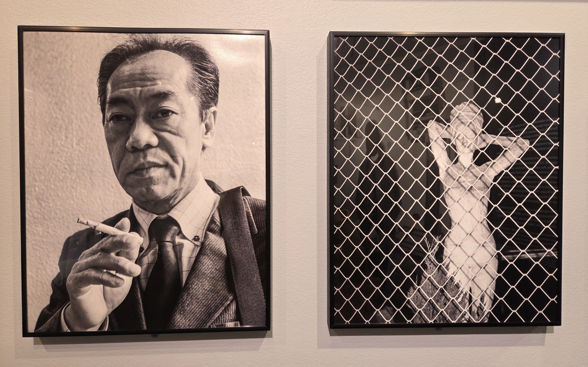 SF Public Library showcases 25 years of 'Hamburger Eyes' street