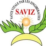 Saviz - logo