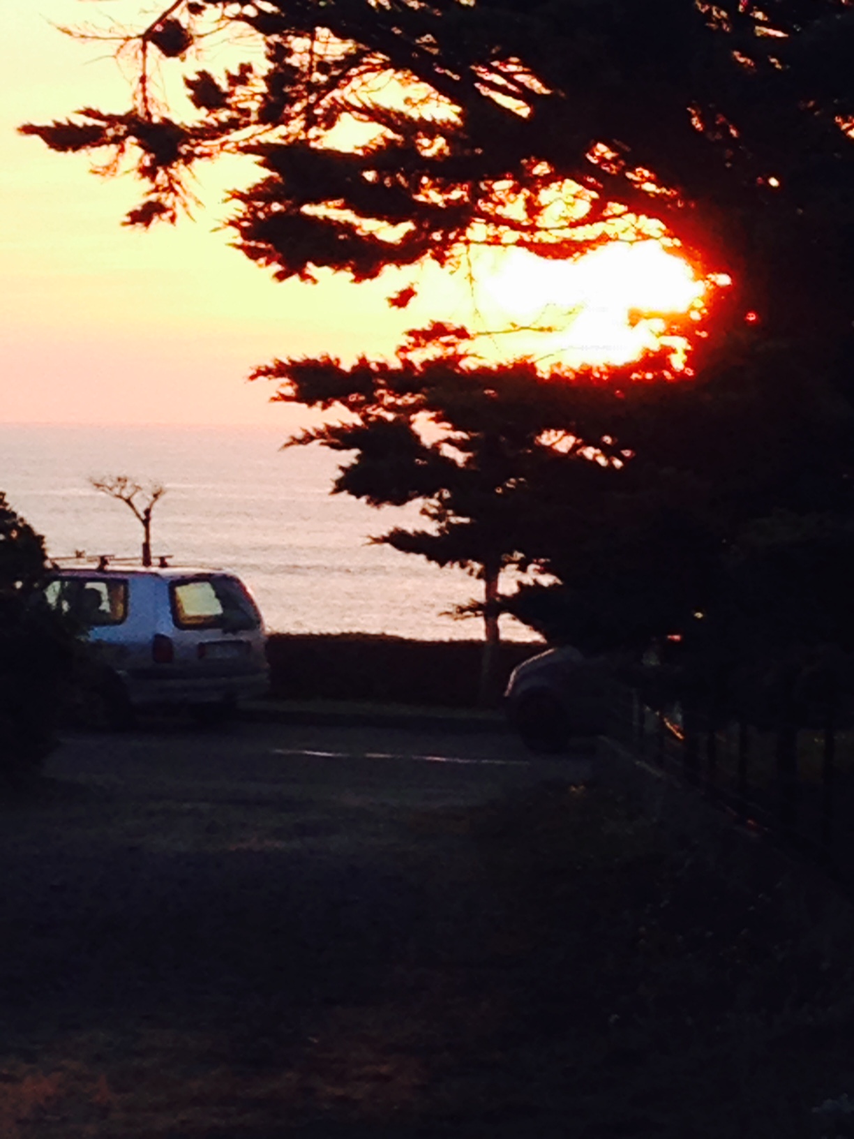 Vue depuis le séjour