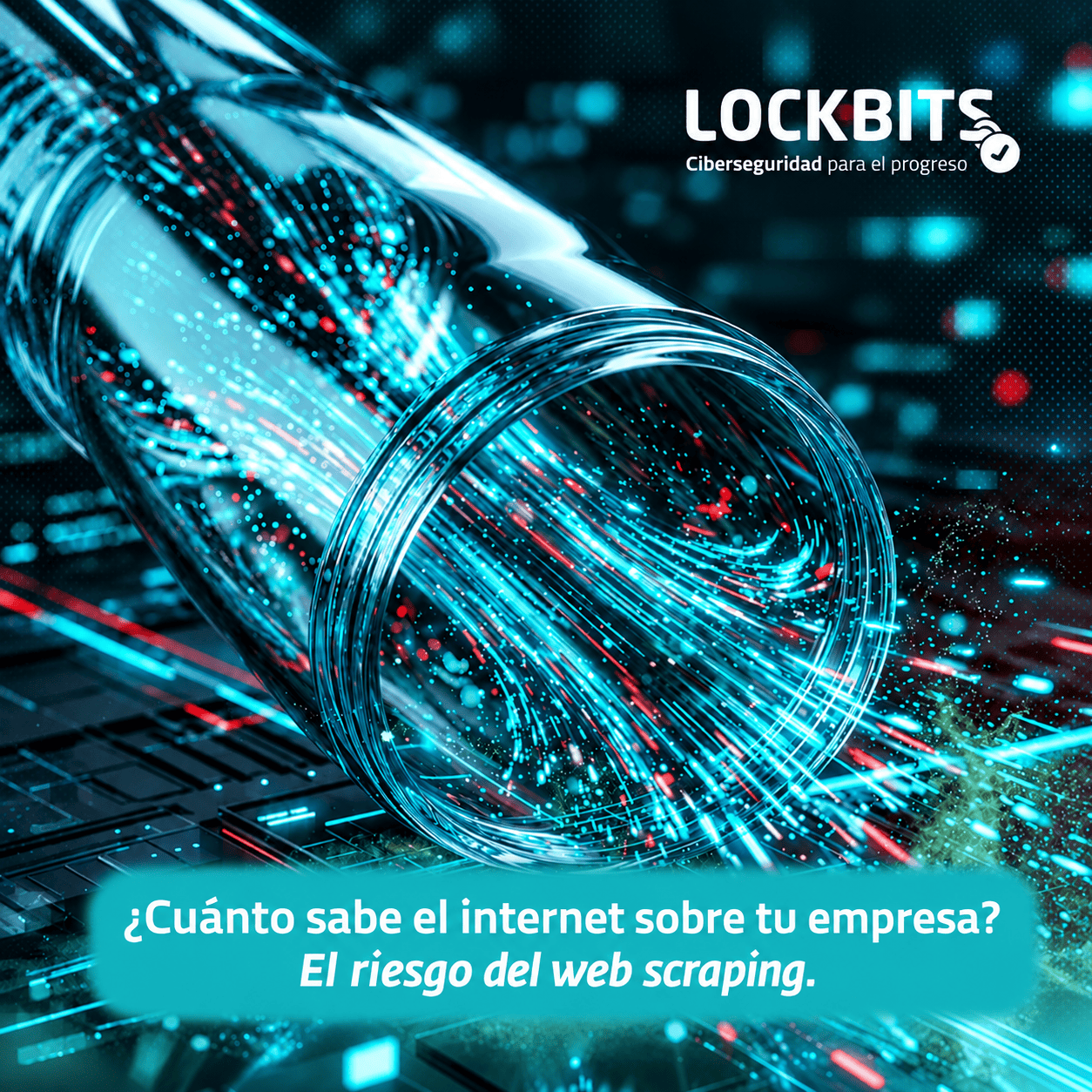 ¿Cuánto sabe internet sobre tu empresa? El riesgo del web scraping