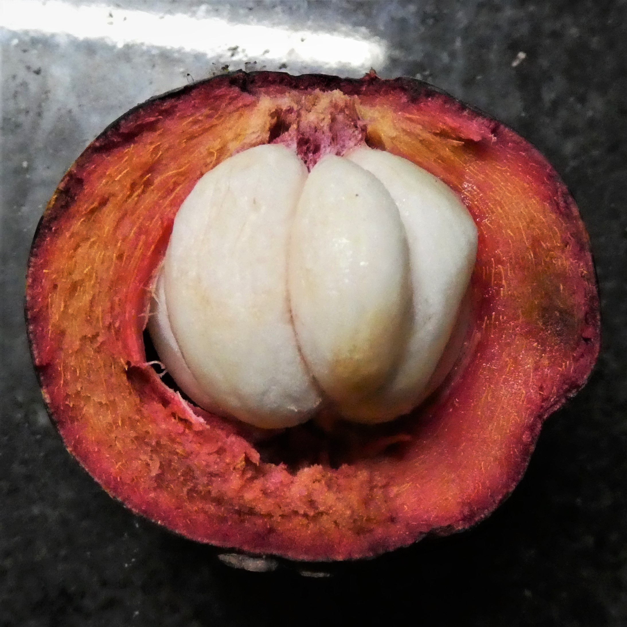 Mangosteen