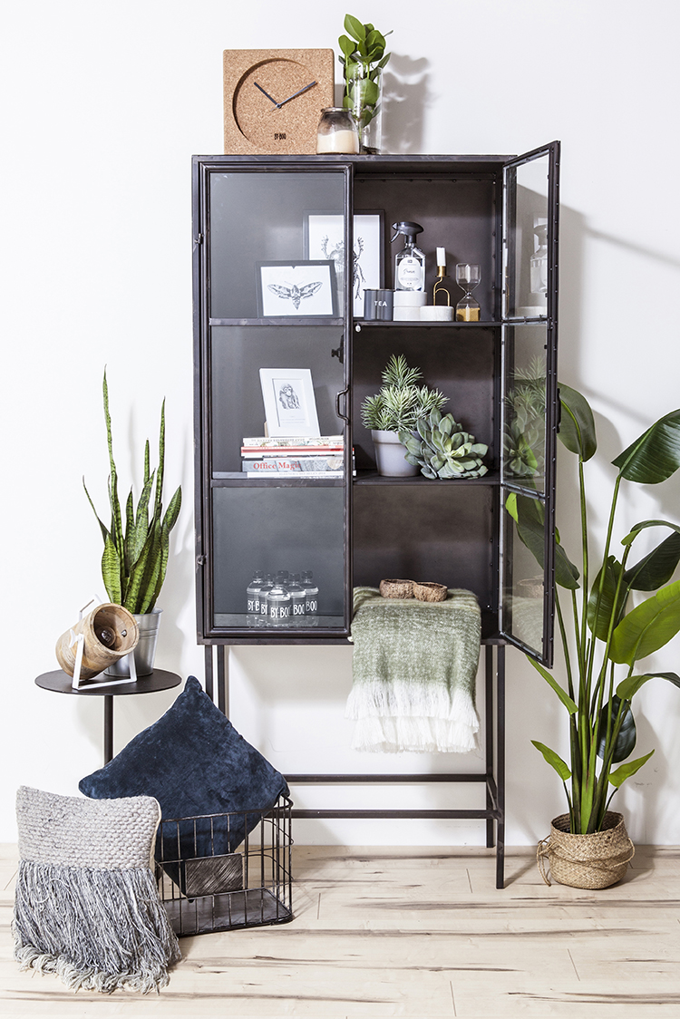 Planten in je interieur