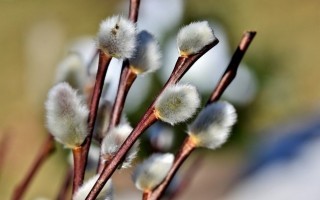 Ybbstalradweg Pdf . Schmieden in Ybbsitz | Ferrum Ybbsitz