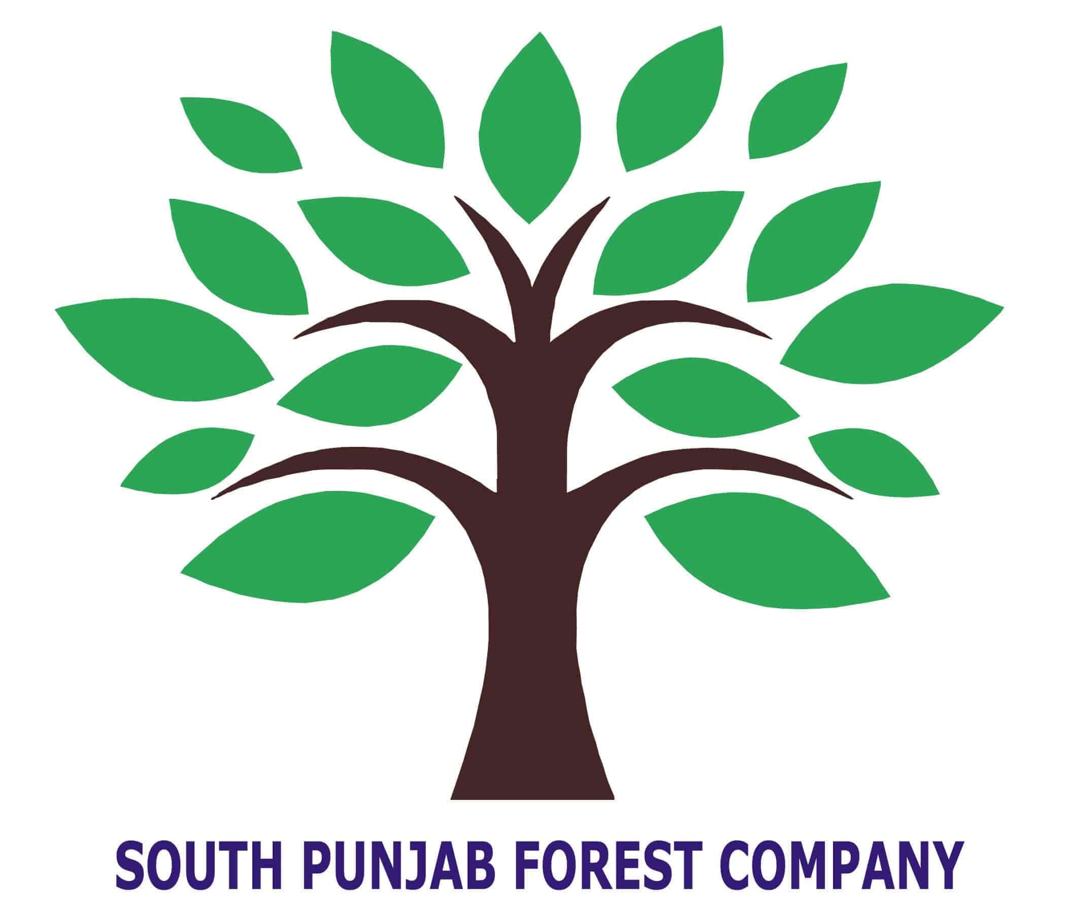 Forestry Logo Logodix