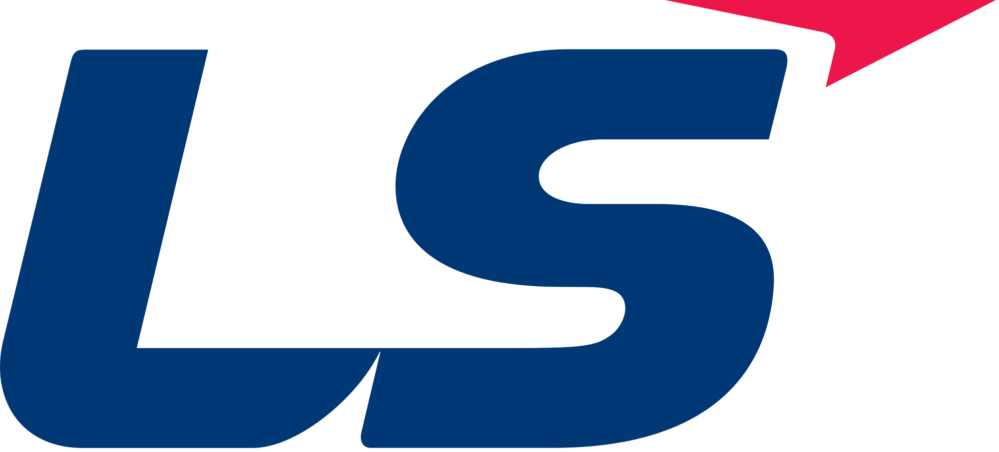 LS Logo 