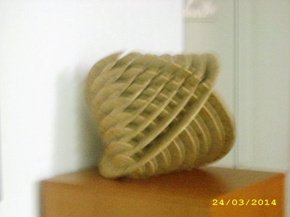 Foto: COSMIN ANGHELACHE