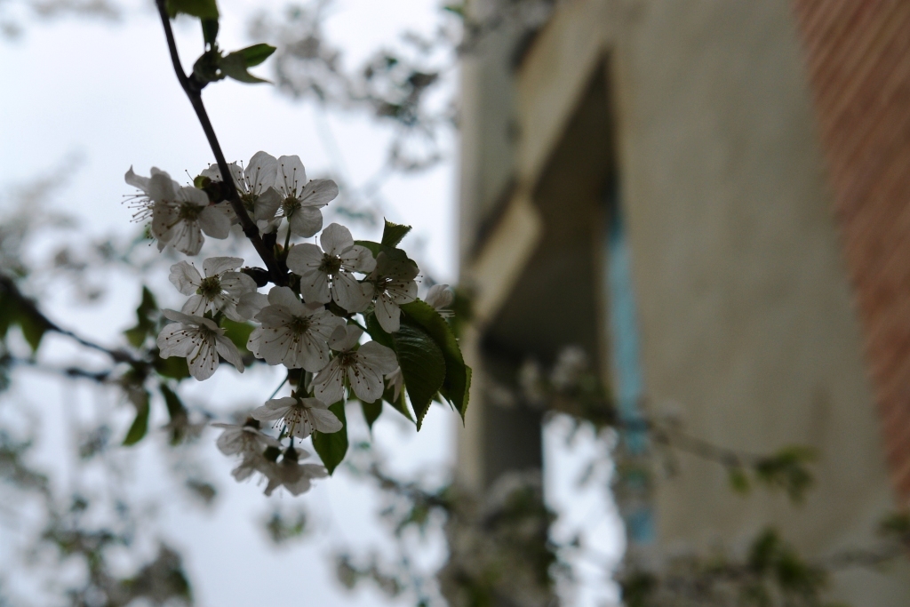 Foto: Andrei Ţiburcă