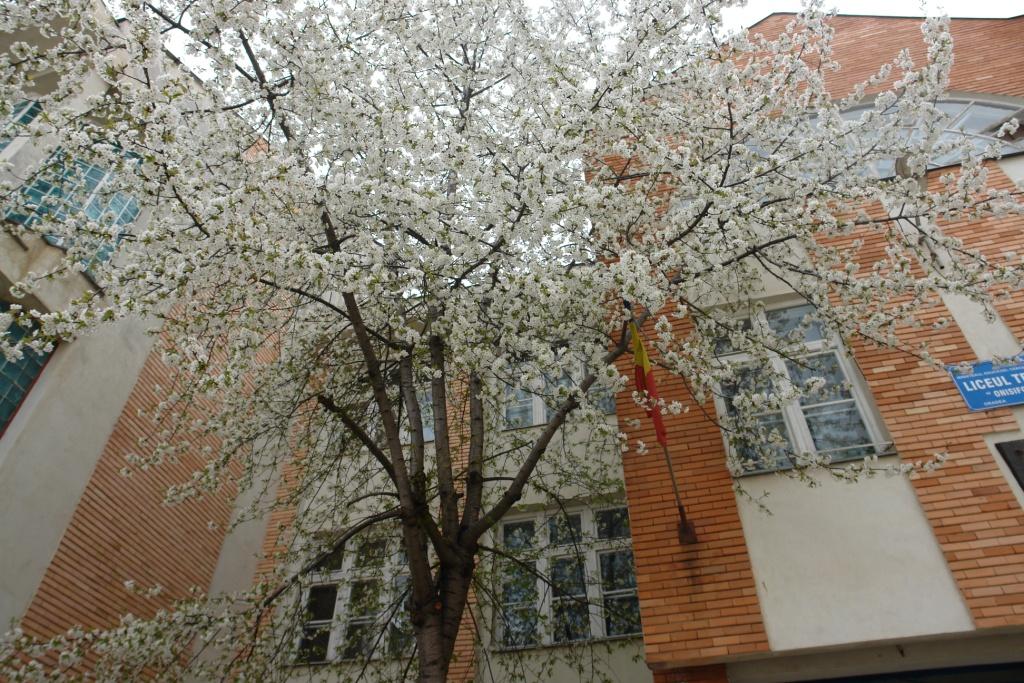 Foto: Andrei Ţiburcă