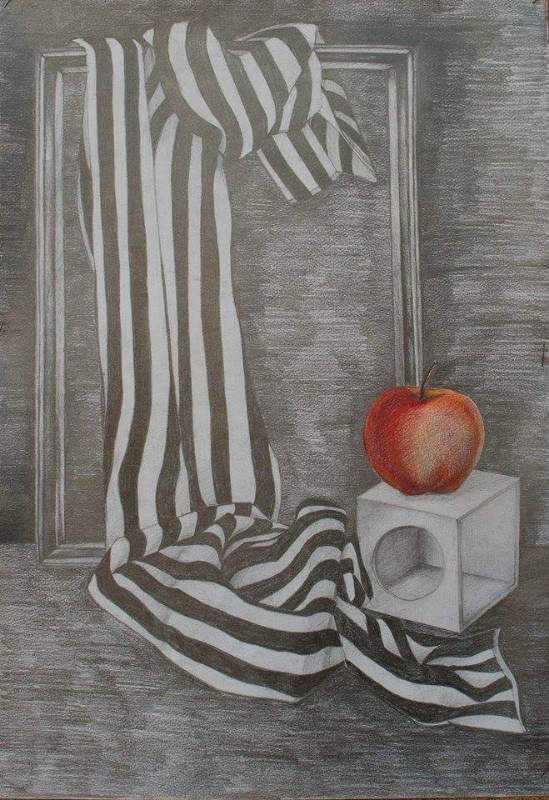 Lucrare: VERONICA IONICI