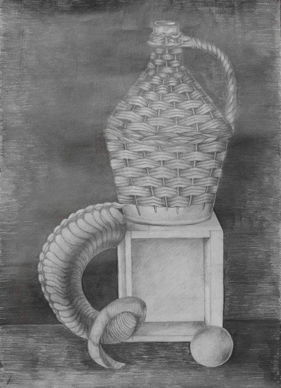 Lucrare: VERONICA IONICI