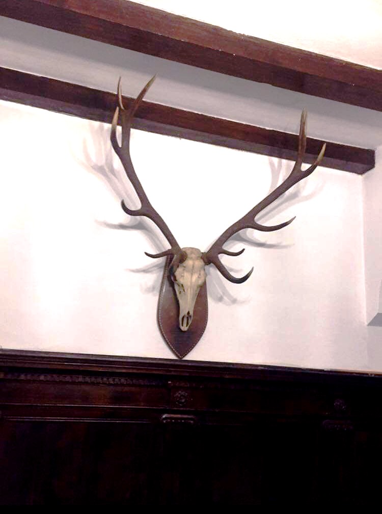 Foto: Natalia Kristali