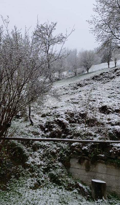 Foto: Teodora Nicorici