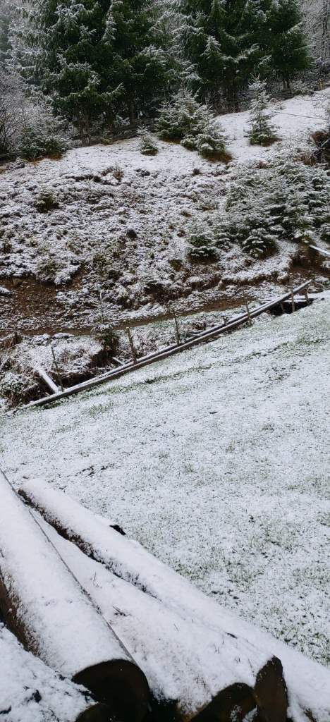 Foto: Teodora Nicorici