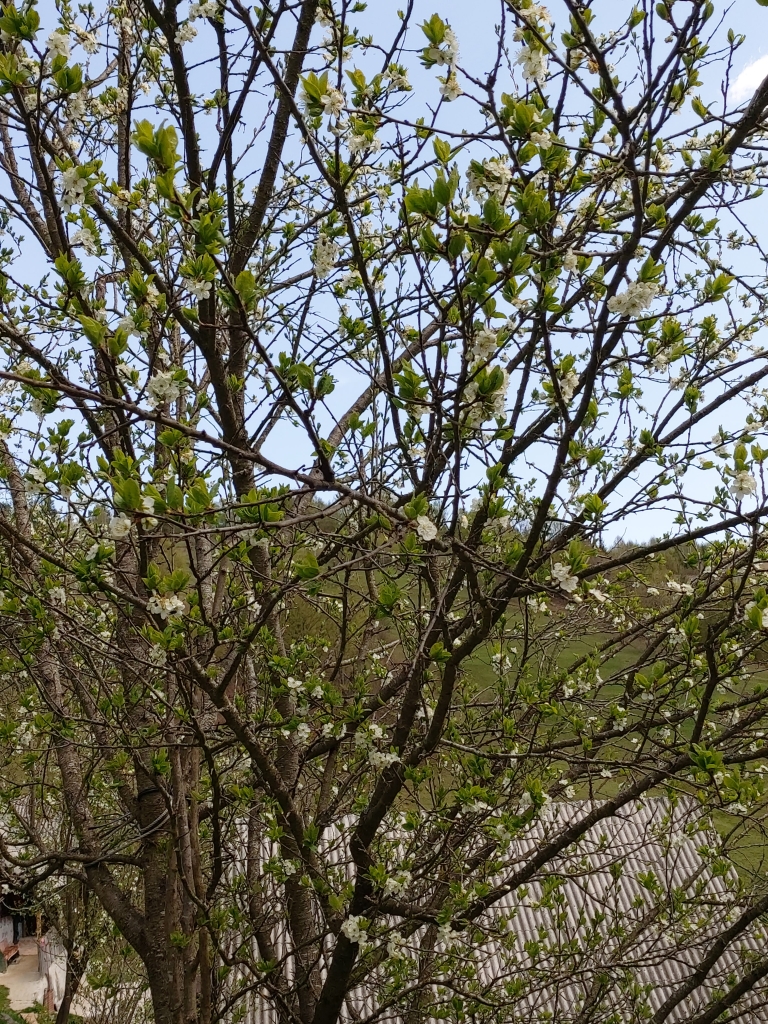 Foto: Teodora Nicorici