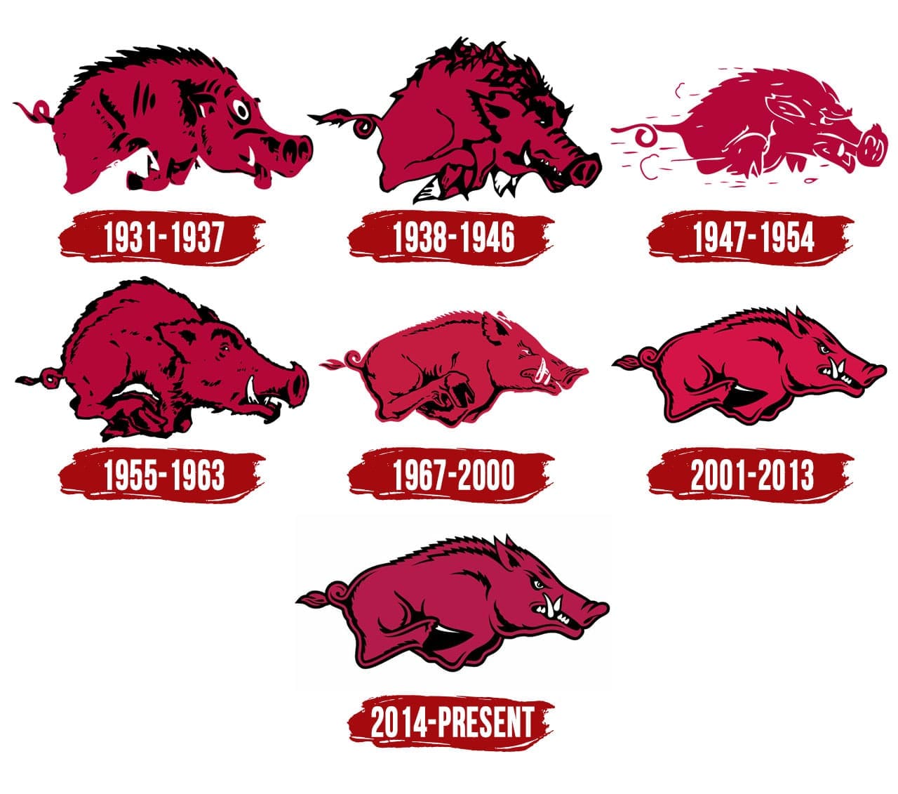 Arkansas razorbacks logo, symbol, meaning, history, png, brand