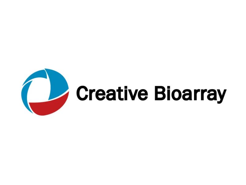 Home Creative Bioarray - Modern Light Illustration - Desktop